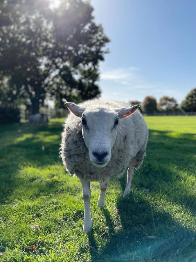 فيلا The Granary, Norfolk نورويش المظهر الخارجي الصورة